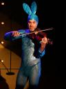 View The Scotty the Blue Bunny Album